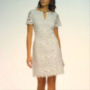 Kensie Lace Keyhole-Cutout Sheath Dress size 4, White, Gold Accessory